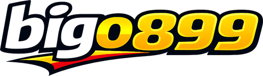 Logo bigo899